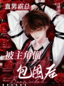 直男霸总被主角们包围后